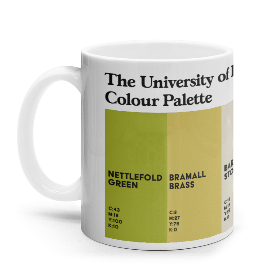 University of Birmingham Mug