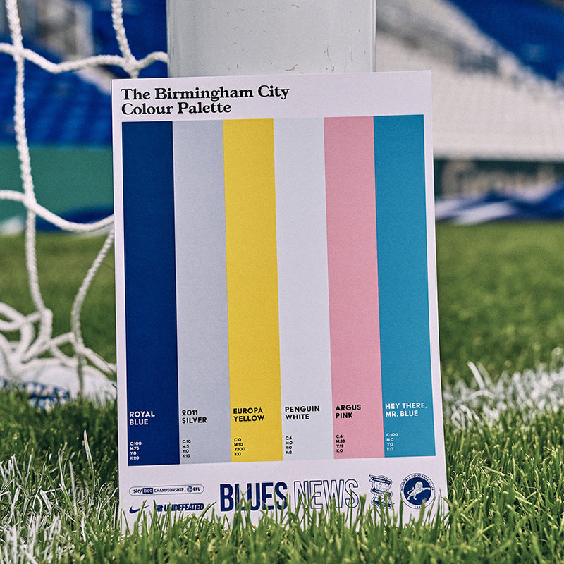 The Birmingham City FC Colour Palette Mug