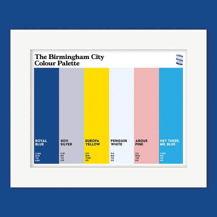 The Birmingham City Colour Palette Mounted Art Print