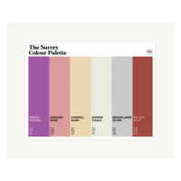 The Surrey Colour Palette Mounted Art Print