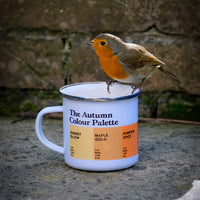 A robin lands on the autumn colour palette enamel mug