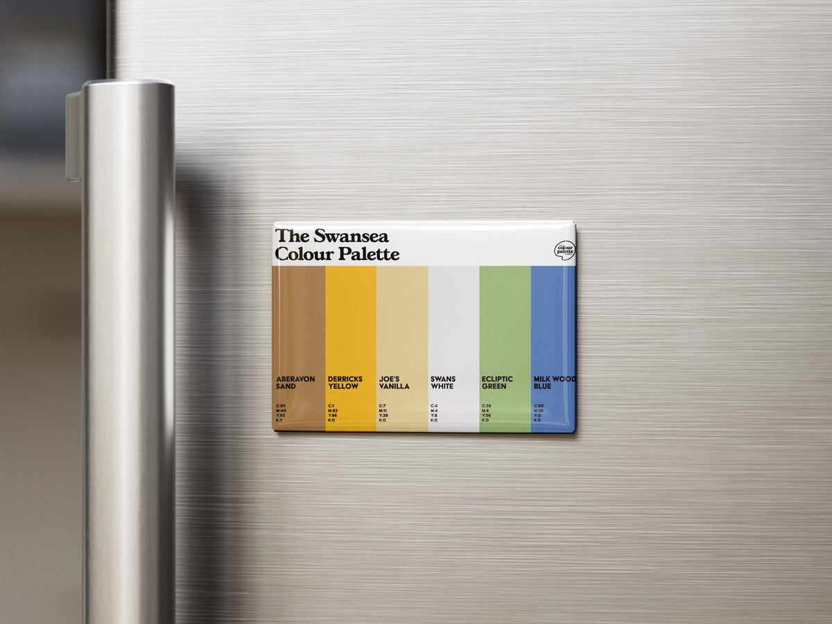 Swansea Fridge Magnet Gift