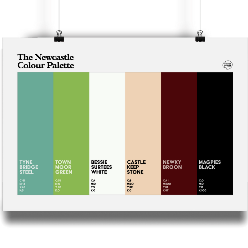 The Newcastle Colour Palette art print